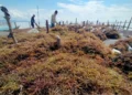 Fraksi PKS Minta Pemkab Nunukan Dorong Penguatan Ekonomi Perbatasan