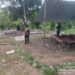 Lagi-Lagi Polisi Bubarkan Judi Sabung Ayam