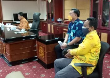 Wakil Bupati Hanafiah Menerima Audiensi Institut Teknologi dan Bisnis Maritim Balik Diwa secara virtual