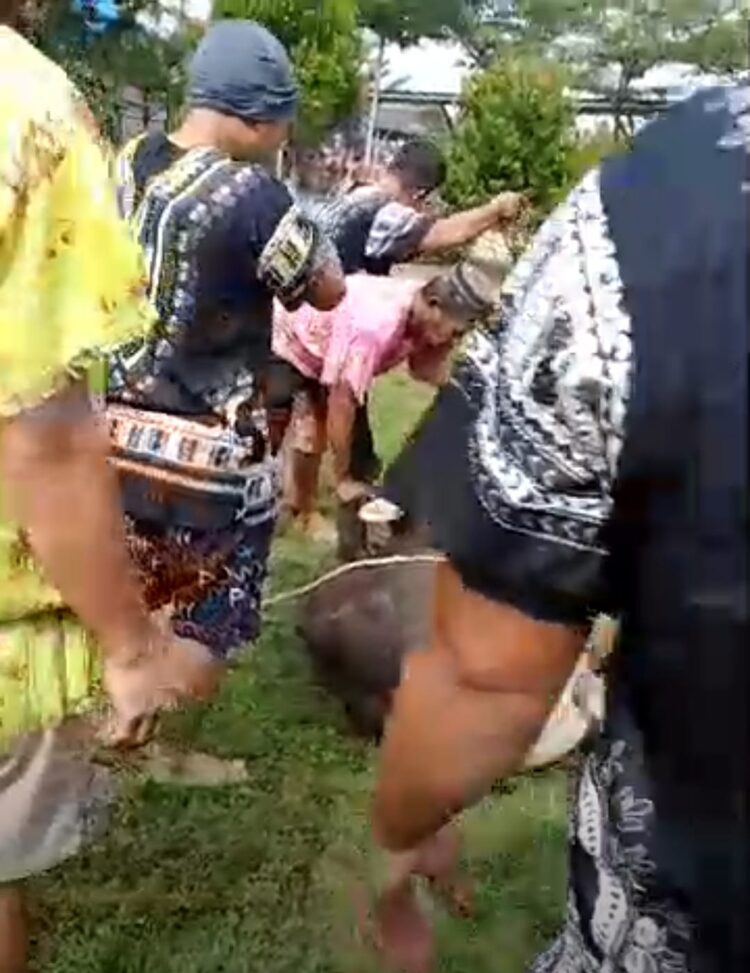 Panitia Qurban Masjid Miftahul Khair Terima Empat Ekor Sapi dan Satu Ekor Kambing Untuk Disembelih