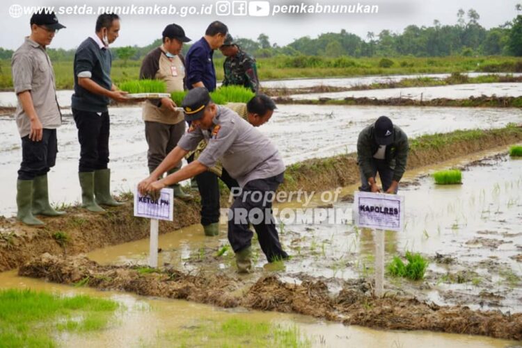 Sinergi dengan Program Pemerintah Daerah, Kodim 0911/Nunukan Gelar Tanam Perdana Ketahanan Pangan