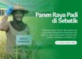 Bupati Laura Panen Raya Padi di Kec. Sebatik Timur Bersama Kelompok Tani Mamminasae