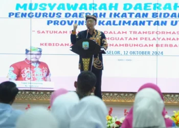 Sinergi Bidan dan Pemerintah Perkuat Layanan di Daerah Terpencil