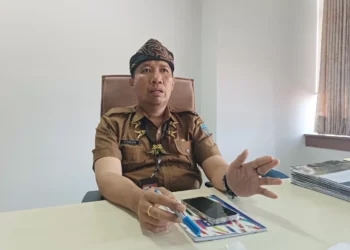 Dinas ESDM Kaltara Target Tuntas di 2030 Semua Desa Teraliri Listrik