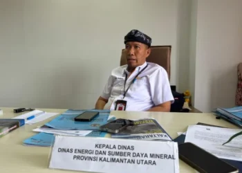 Kadis ESDM Yosua Batara Payangan Tegaskan Potensi Energi Hijau di Kaltara Cukup Besar