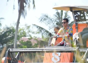 Bupati Nunukan Hadiri Panen Padi Bersama Kelompok Brigade Pangan