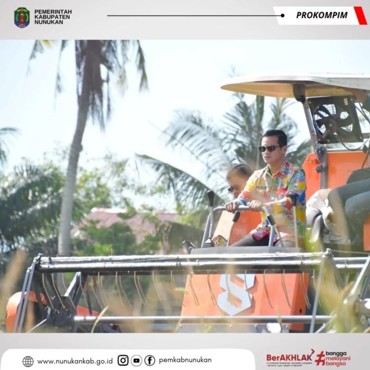Bupati Nunukan Hadiri Panen Padi Bersama Kelompok Brigade Pangan