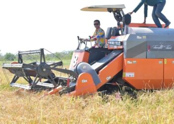 Bupati H. Irwan Sabri Turun Langsung Ikut Panen Padi Gunakan Combine Harvester