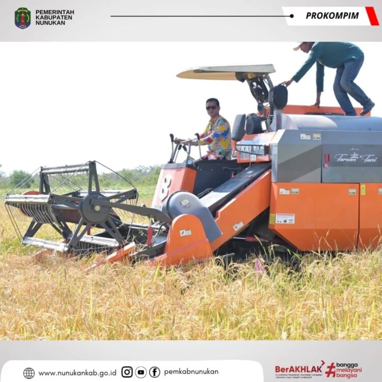 Bupati H. Irwan Sabri Turun Langsung Ikut Panen Padi Gunakan Combine Harvester