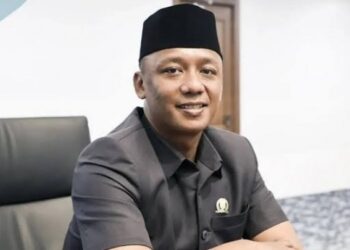 Rismanto Dorong Pemda Segera Susun Peta Jalan (Roadmap) Investasi Yang Jelas, Terarah, dan Terukur.