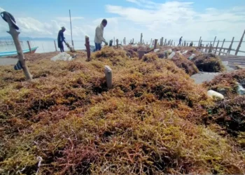 Fraksi PKS Minta Pemkab Nunukan Dorong Penguatan Ekonomi Perbatasan