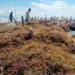 Fraksi PKS Minta Pemkab Nunukan Dorong Penguatan Ekonomi Perbatasan
