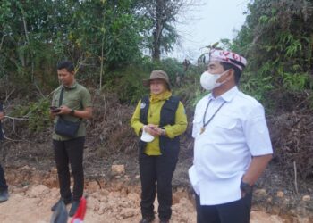 Gubernur Tinjau Penanganan Karhutla di KM 12 Desa Gunung Sari