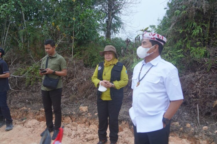 Gubernur Tinjau Penanganan Karhutla di KM 12 Desa Gunung Sari