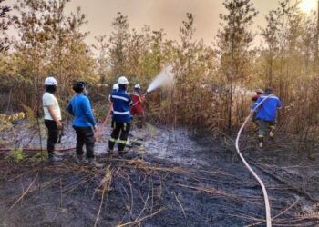 Dishut Perkuat Kesiapsiagaan, 282 Hotspot Terdeteksi hingga September